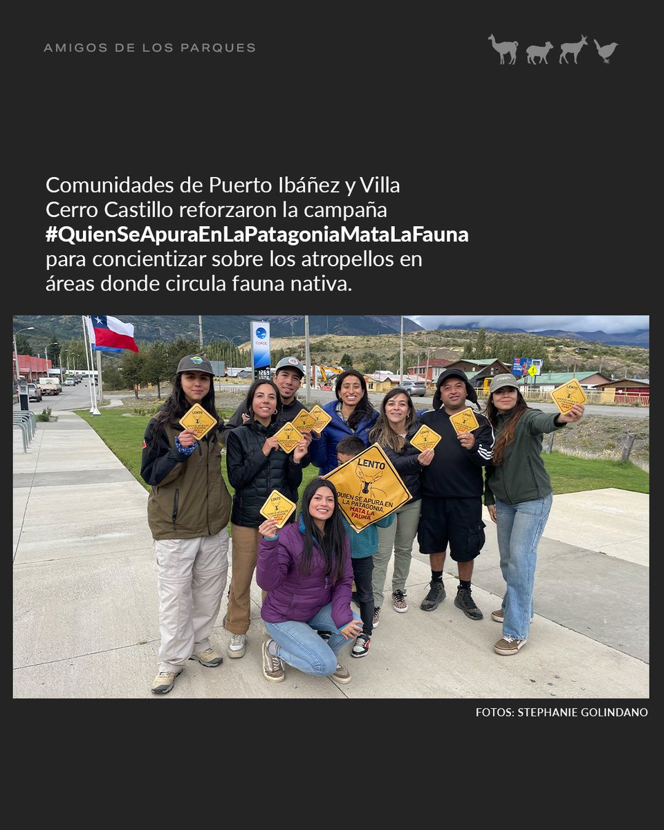 Fundación Rewilding Chile tweet media