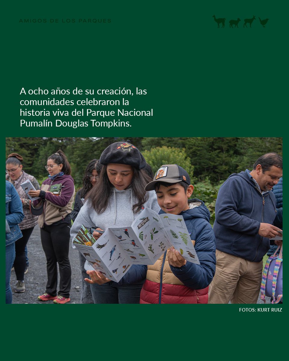 Fundación Rewilding Chile tweet media