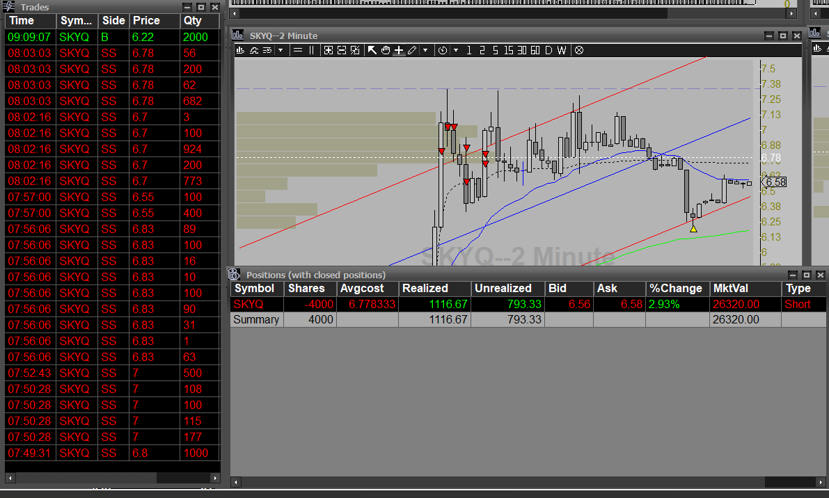 🐅Hegemonic Trader🐅 tweet media