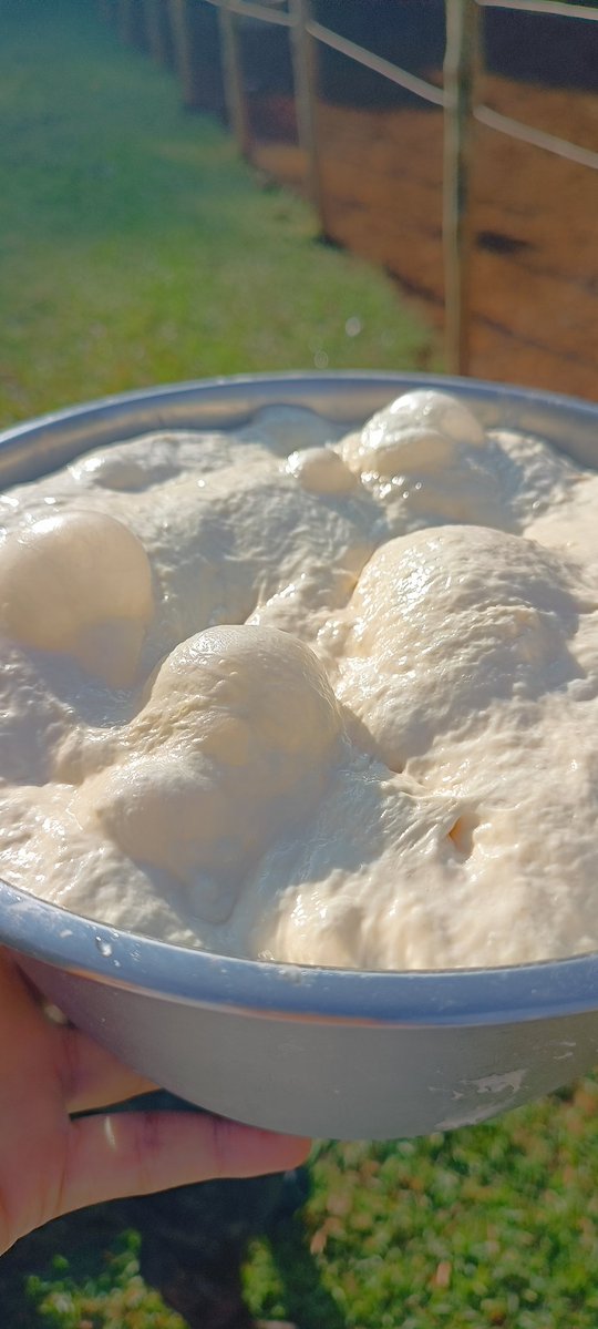 Barbacoa 🇧🇷👩🏽‍🍳🇮🇹🌾🌲❤️‍🔥 tweet media