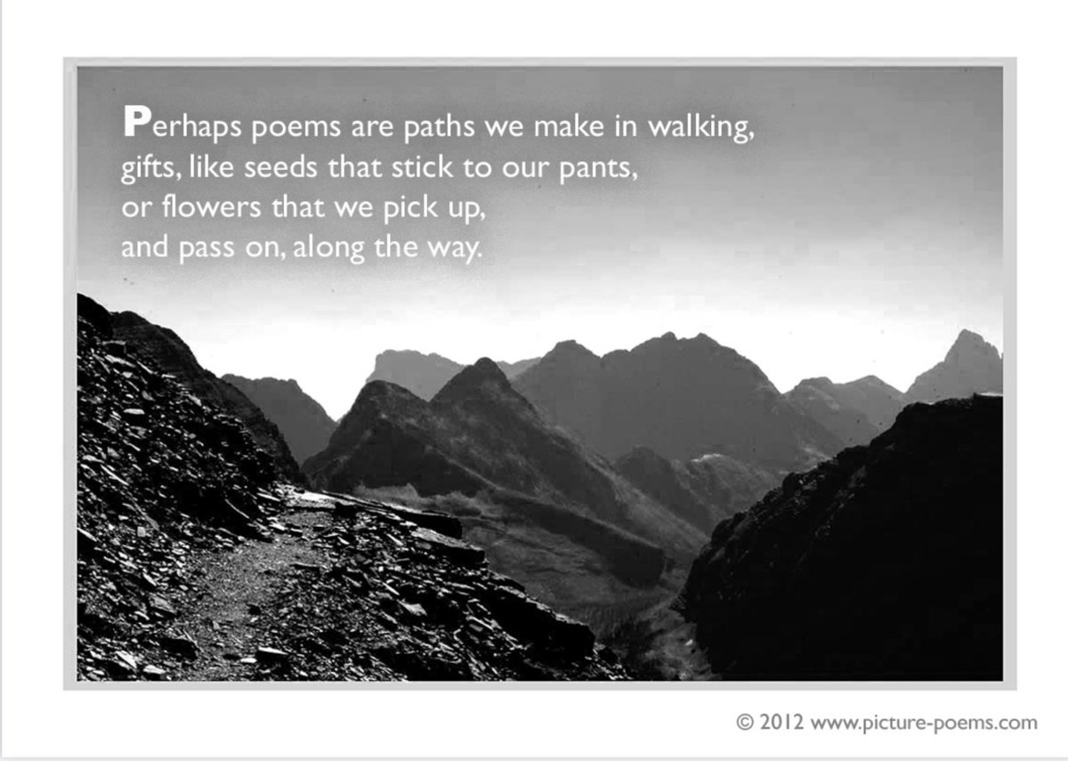 cliffcrego's tweet photo. 100 MINIATURES #foto #poem &amp; #aphorism, side by side, by Cliff CREGO

ONE image. 
ONE idea. 
ONE new way of looking... .  .    .

download ebook 100 MINIATURES
pdf [24 Mb] https://t.co/zN6e36w0ev

🌕 #Sun2Sound 🎵 #wilderness #photo Dawson Pass (Lost) Glacier National Park https://t.co/XSrpEUoRZ3