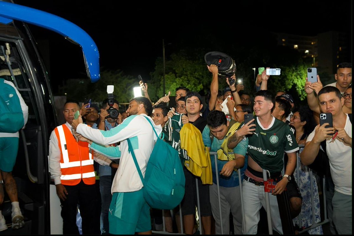 Palmeiras da Depressão tweet media