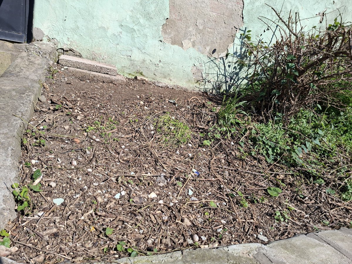 ᅠᅠᅠᅠᅠᅠᅠᅠᅠᅠᅠᅠᅠᅠᅠᅠᅠᅠᅠᅠᅠᅠᅠᅠᅠᅠᅠᅠᅠᅠᅠᅠOğulcan АVСⲒ 🦂 tweet media