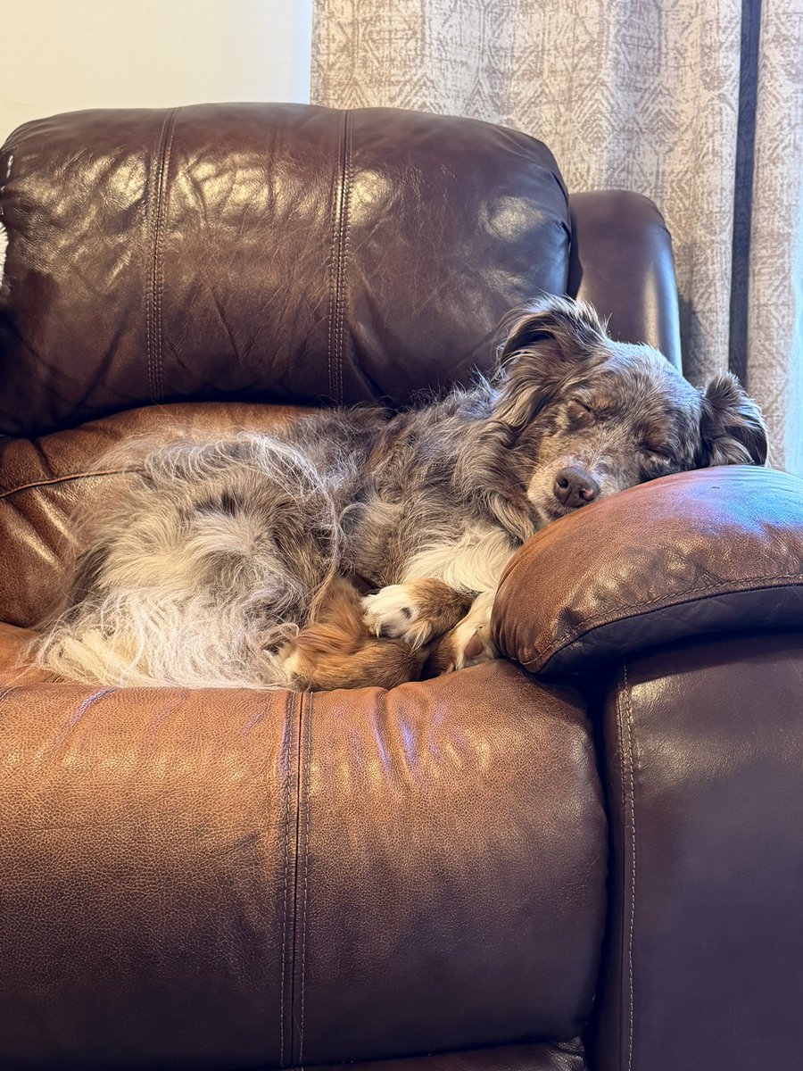 A feast of ADORABLE for your eyes