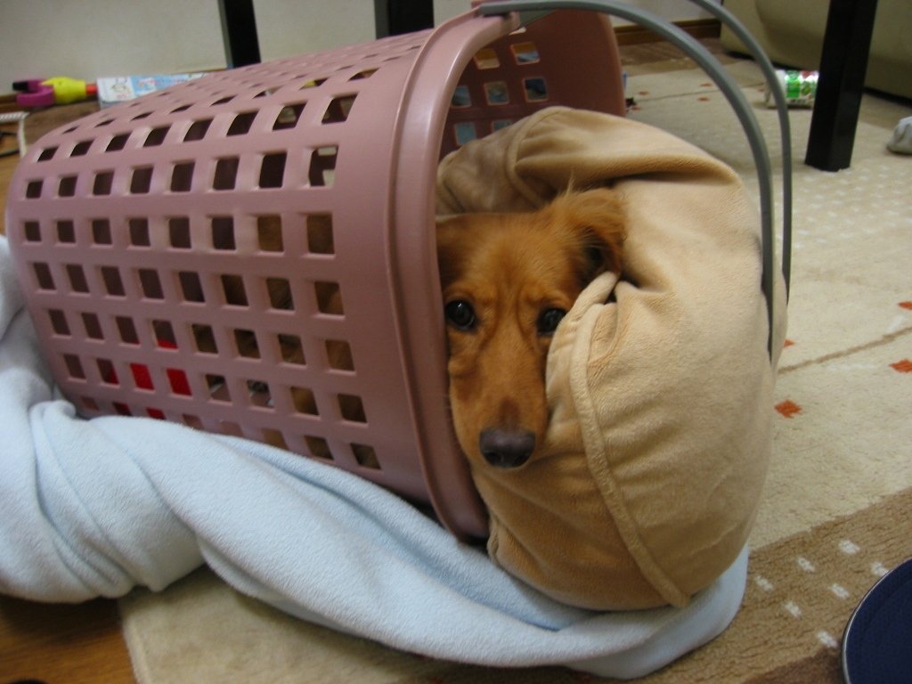 じゃんくろん tweet media