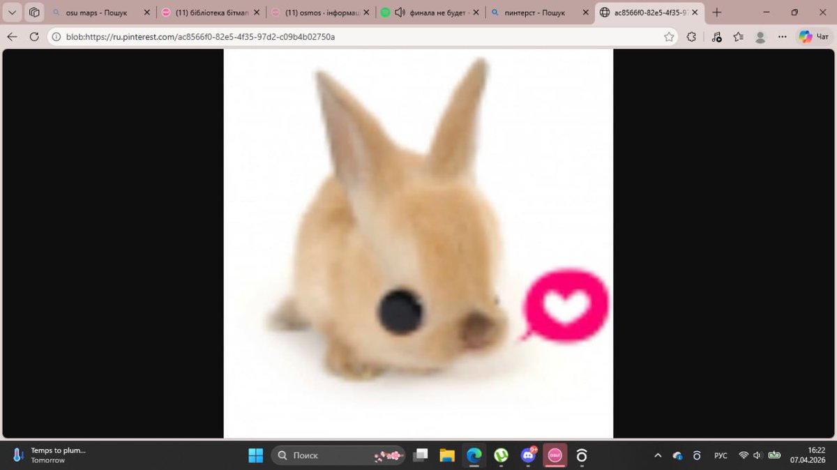 маконяша вишенка tweet media