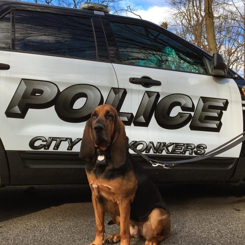 Yonkers Police HQ tweet media