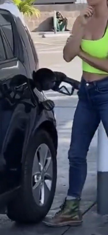 Tara Fairweather tweet media