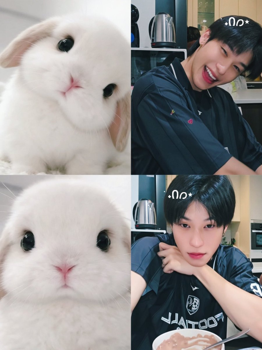 𝜗𝜚ˑ 🐻🤎꒰ ꪔ̤̮𝙤𝙢𝙖𝙮 ꒱ 🦦 ^᪲᪲᪲ tweet media