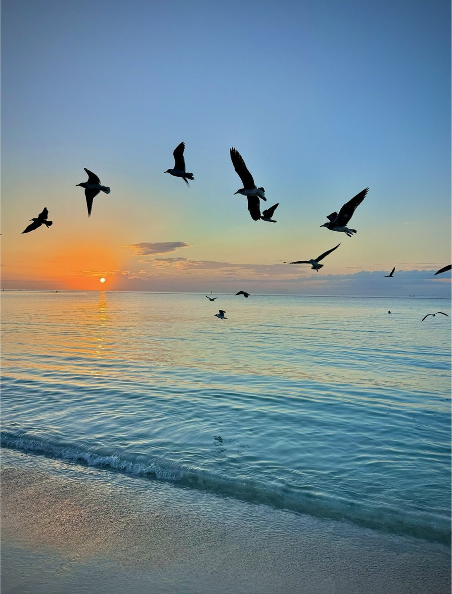 Que hoy solamente haya motivos para sonreír y para agradecer… ¡feliz martes! 🙏🏻✨