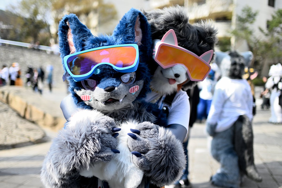 리무리(リムリ)➡️furstclass tweet media