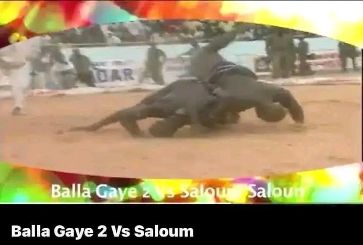 Kaly Pro 🇸🇳 tweet media