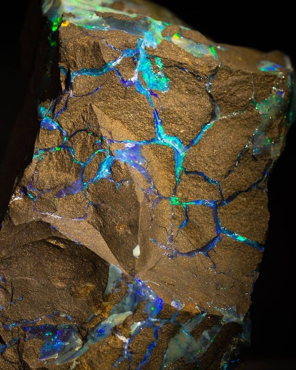 Lee 𓆝 tweet media