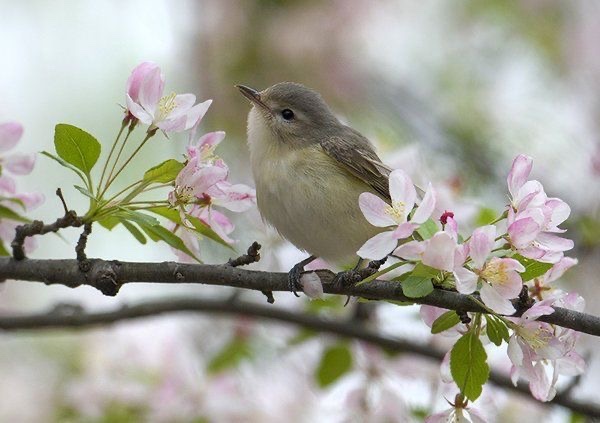 唯乃𑁍𝕐𝕦𝕚𝕟𝕠@東京4/25.26 初ワンマンLIVE✨️ tweet media