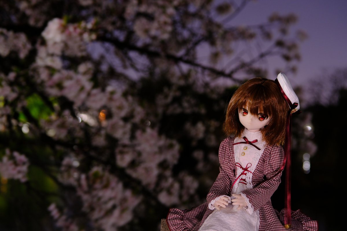 🎀せりおねさん🎀 tweet media