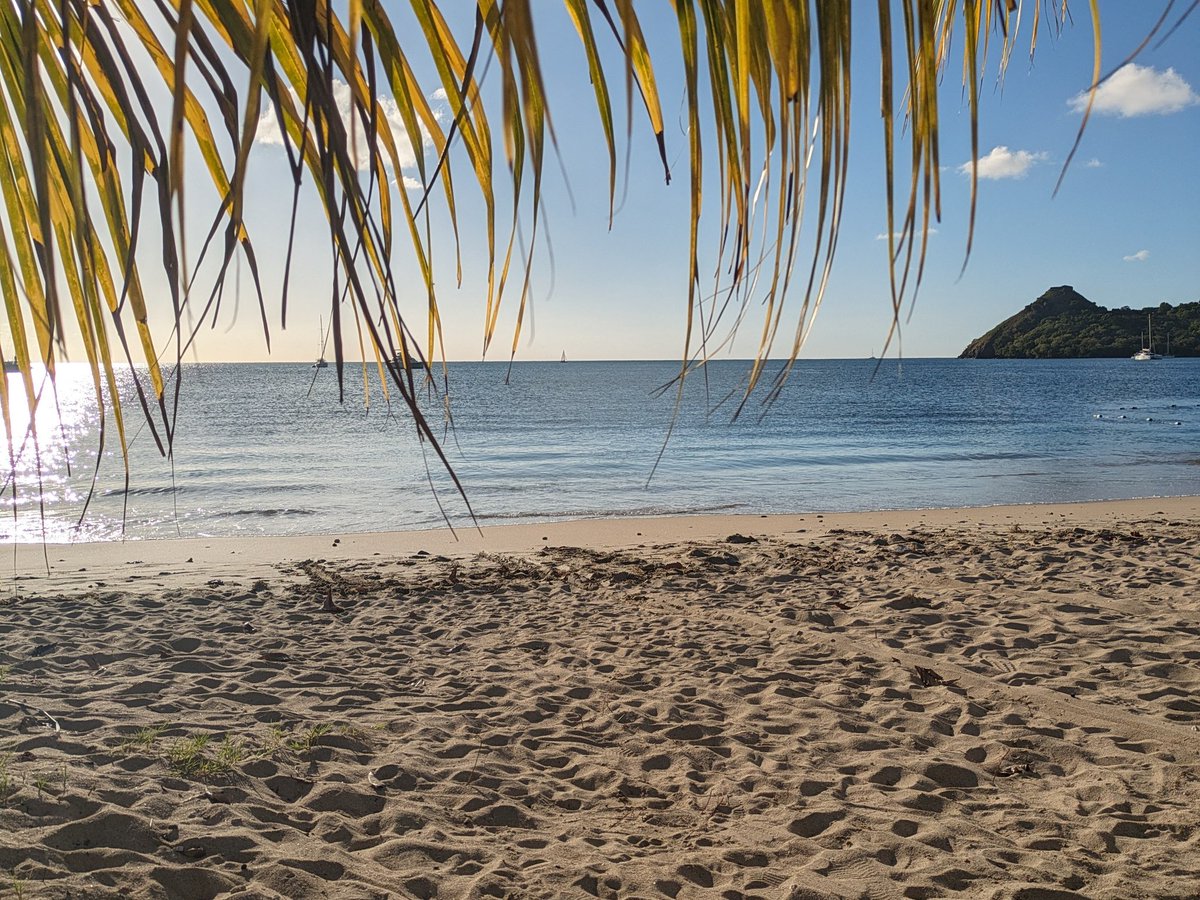 Avromy Super tweet media