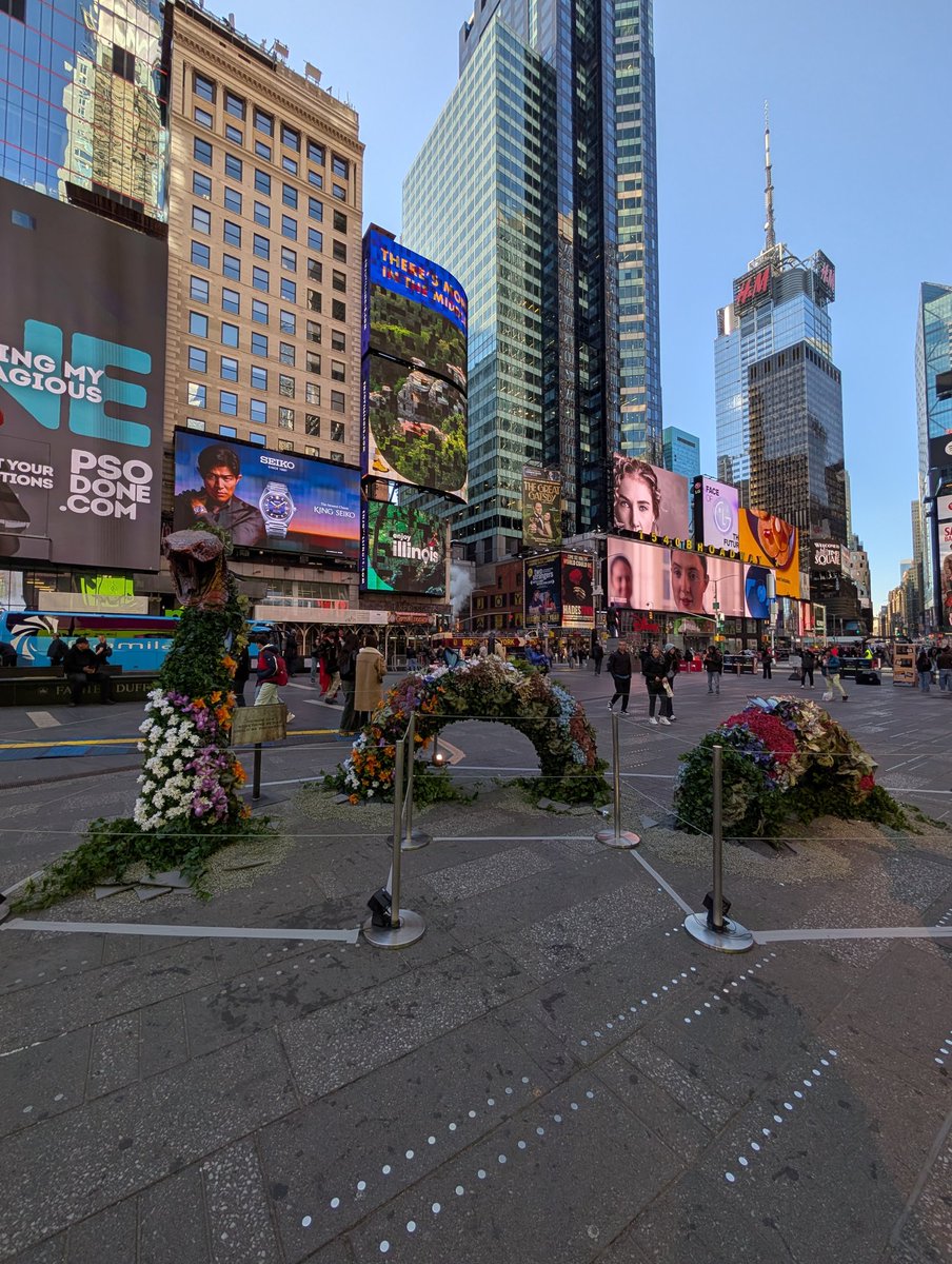 Faith D'Isa* tweet media