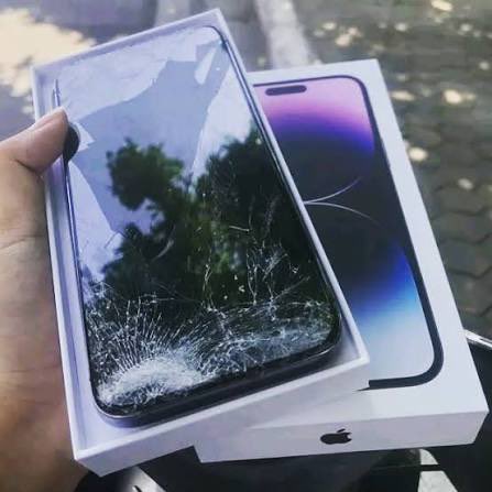 البوبح tweet media