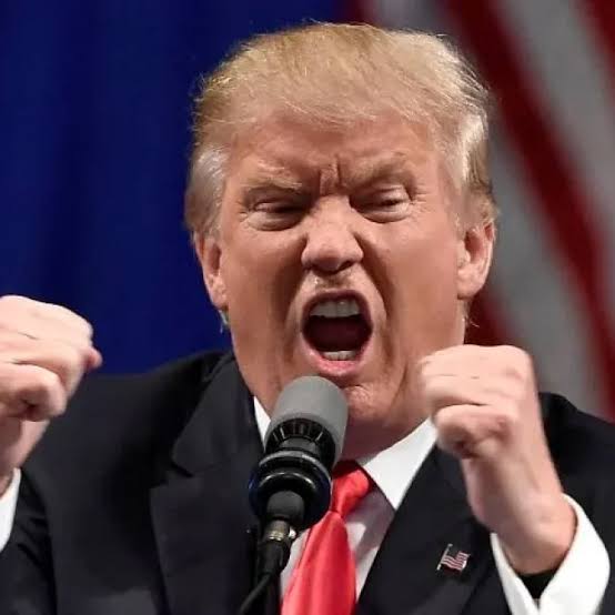 Julio Freiress 🇧🇷 tweet media