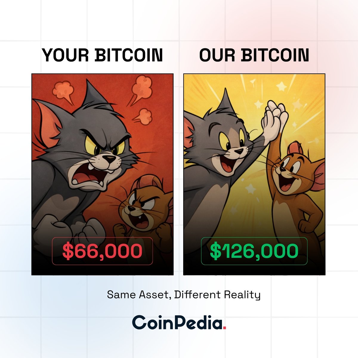 Coinpedia tweet media
