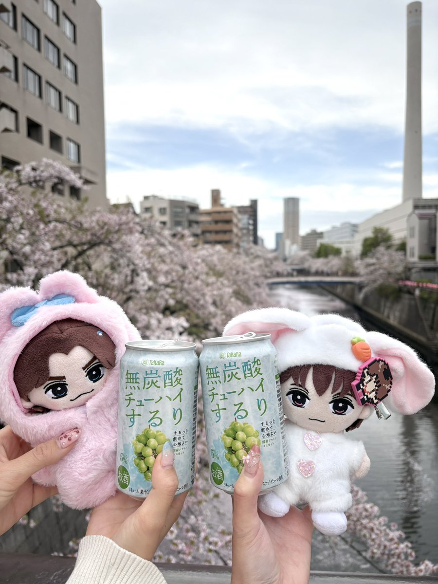 しめぴ🐰 tweet media