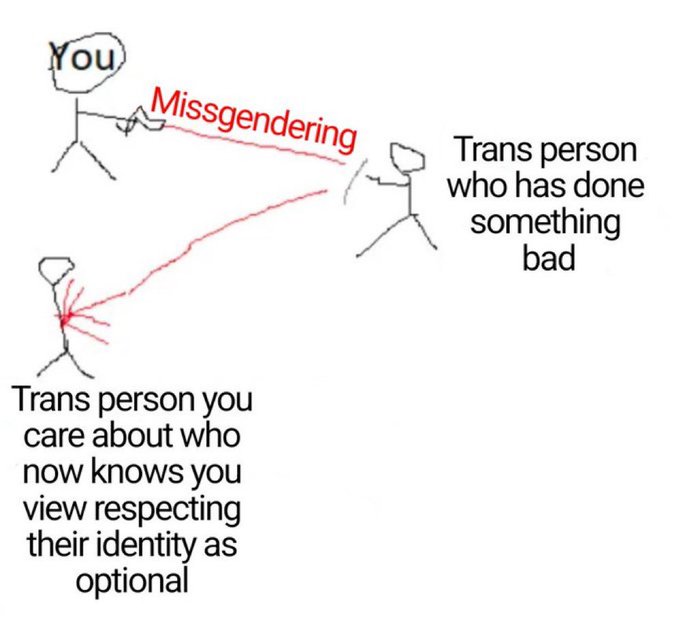 Trans Reinforcement tweet media