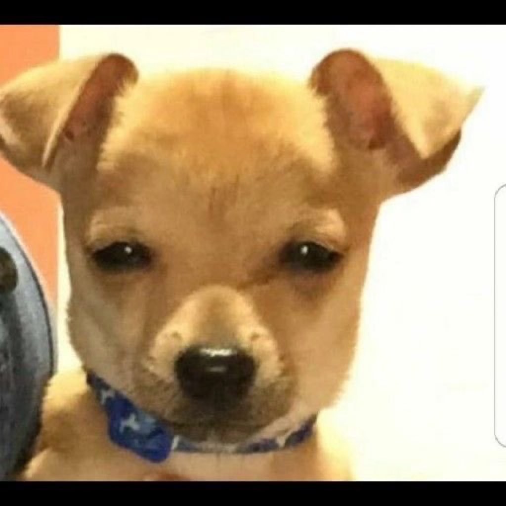 Big DeLa🥷🧃 tweet media