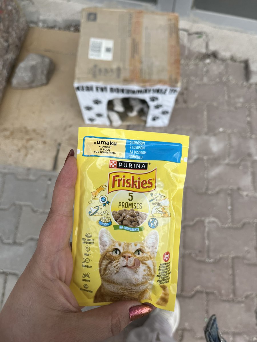 Esra Şahbaz tweet media