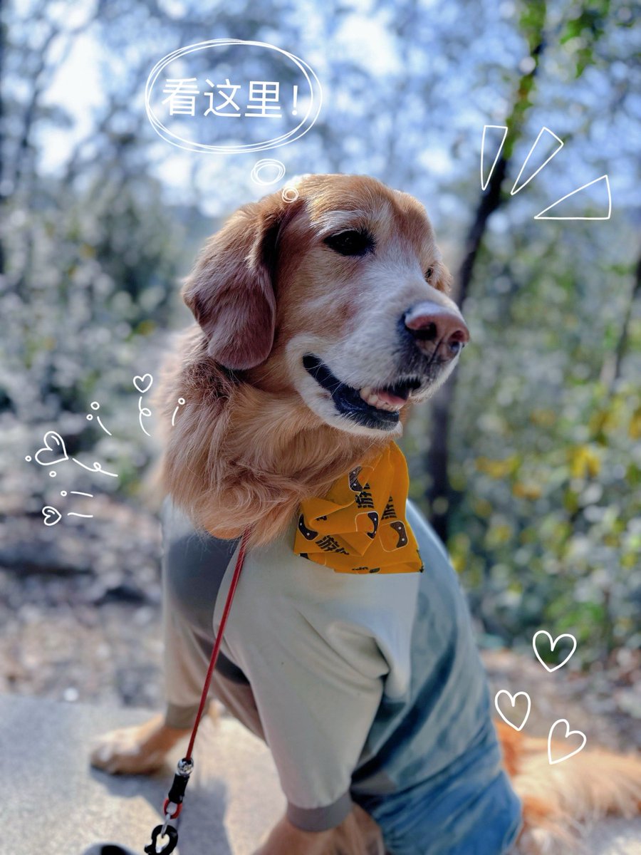 drphilsrent tweet media