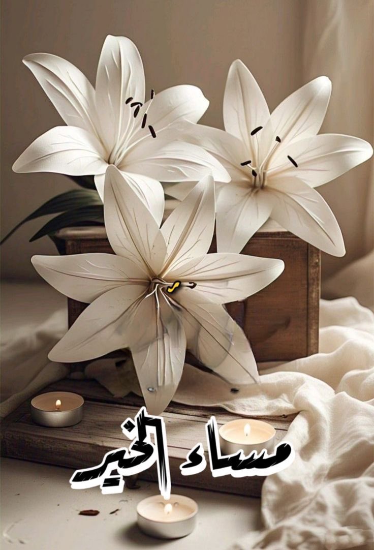 خالد الزيد tweet media