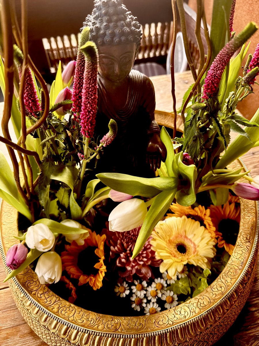 Joan Halifax tweet media