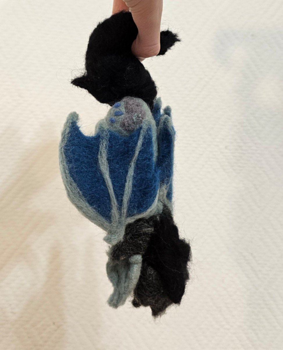 • Arfi • tweet media