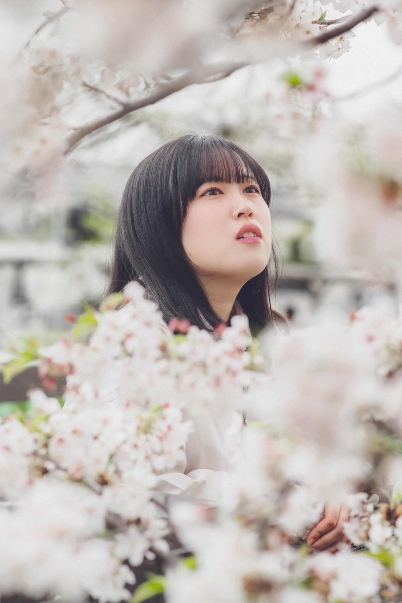 葵(𝐚𝐨𝐢)(8/12Zeppnagoyaファイナリスト) tweet media