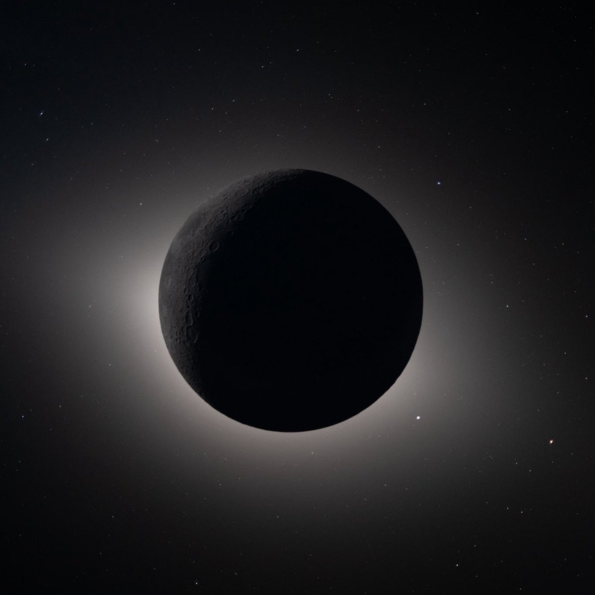 Pusholder tweet media