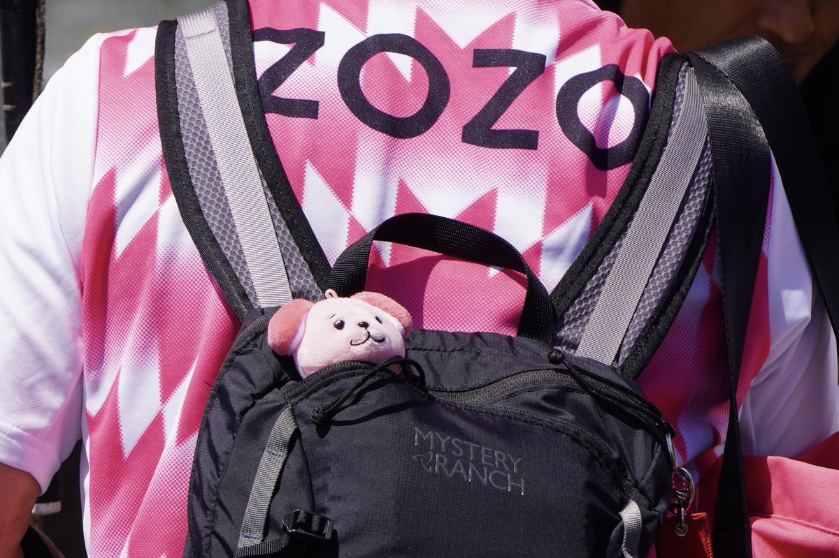 テゲバカ tweet media