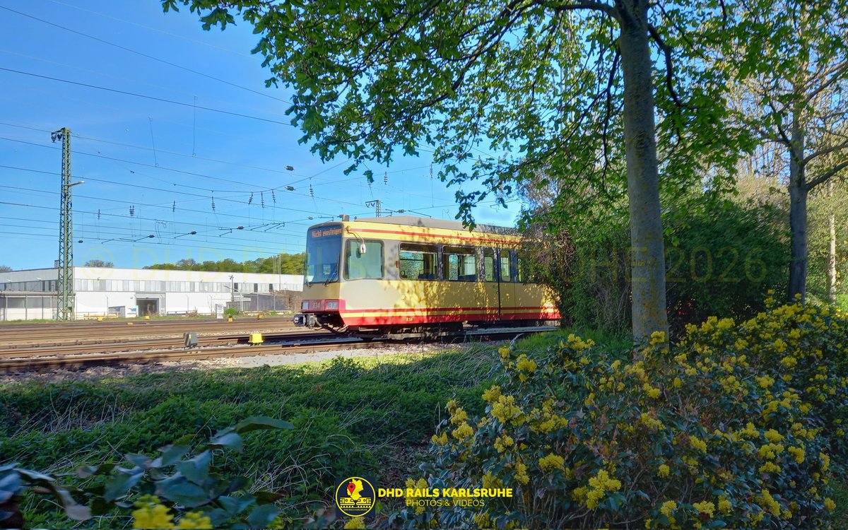 Bruchsal Bahnhof today

#trainphoto #railway