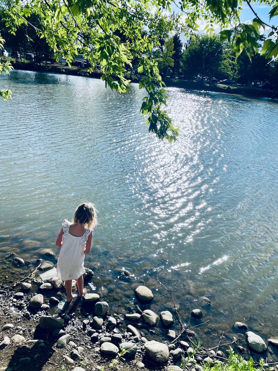 Reilly Neill tweet media