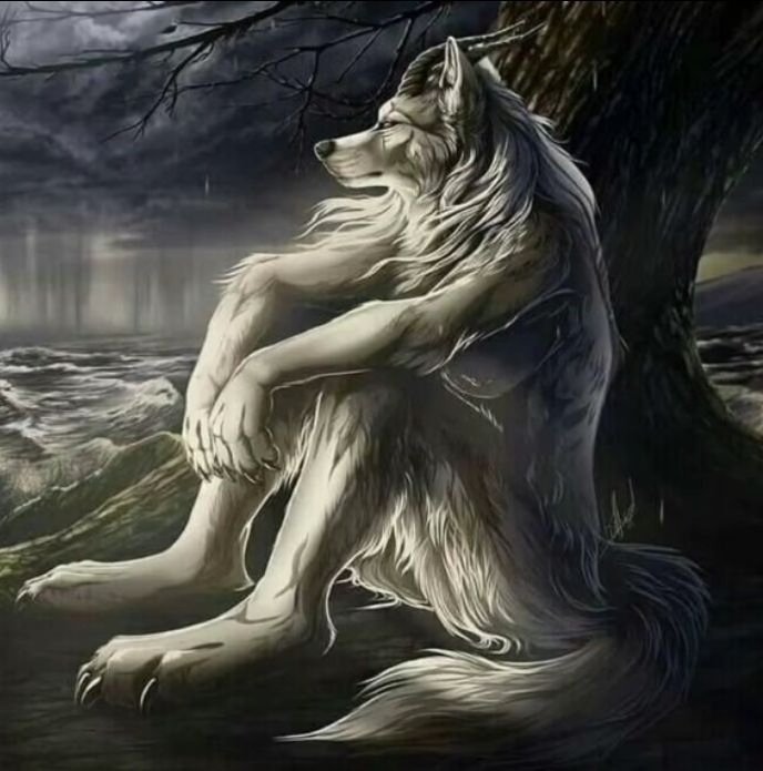 Nenhuma mulher pra beijar,tá difícil p nois tropinha