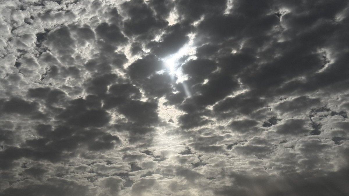 جَزْل☕️ tweet media