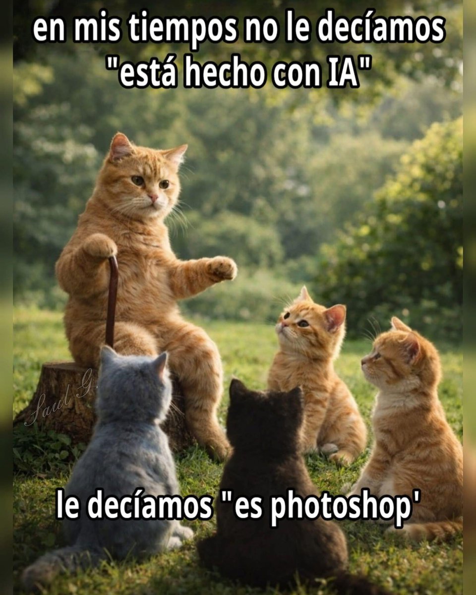 Rincón Curioso tweet media