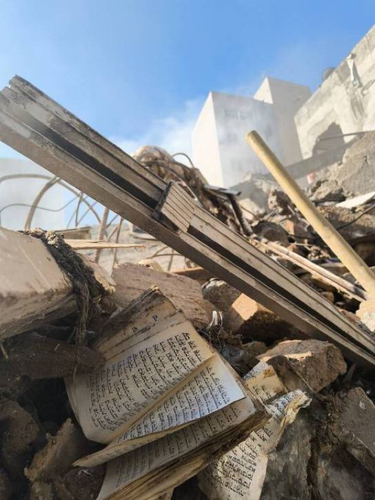 Niema Movassat tweet media