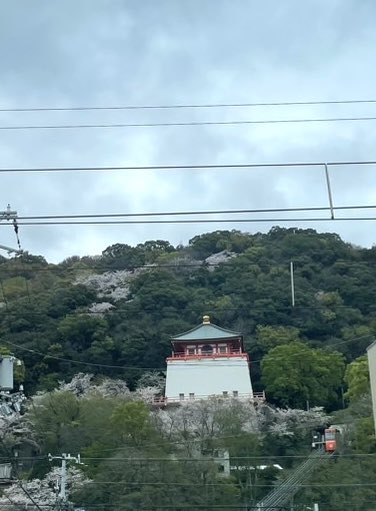 ぽむらん tweet media