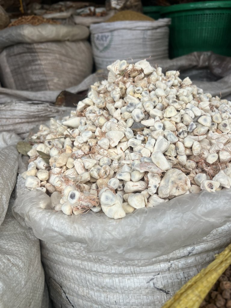 Oma ☺️ tweet media