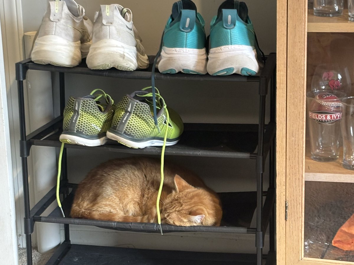 John Pitzel tweet media