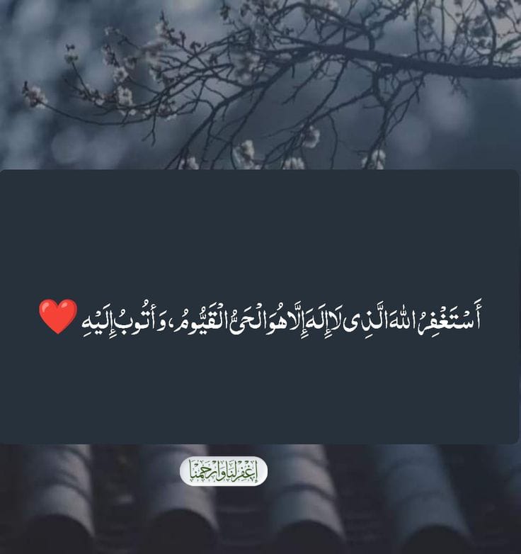 khursheed tweet media