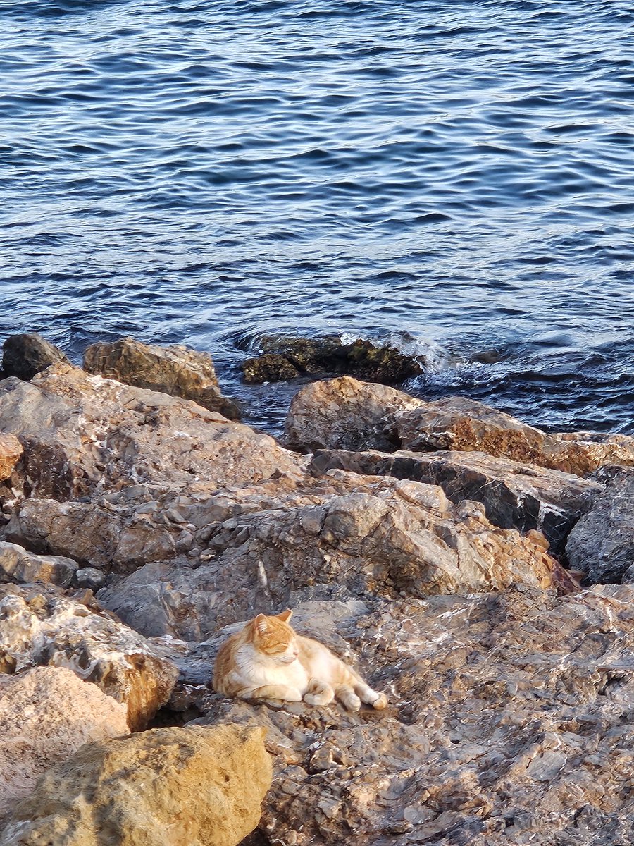 𝔭𝔞𝔳𝔩𝔬😵‍💫 tweet media