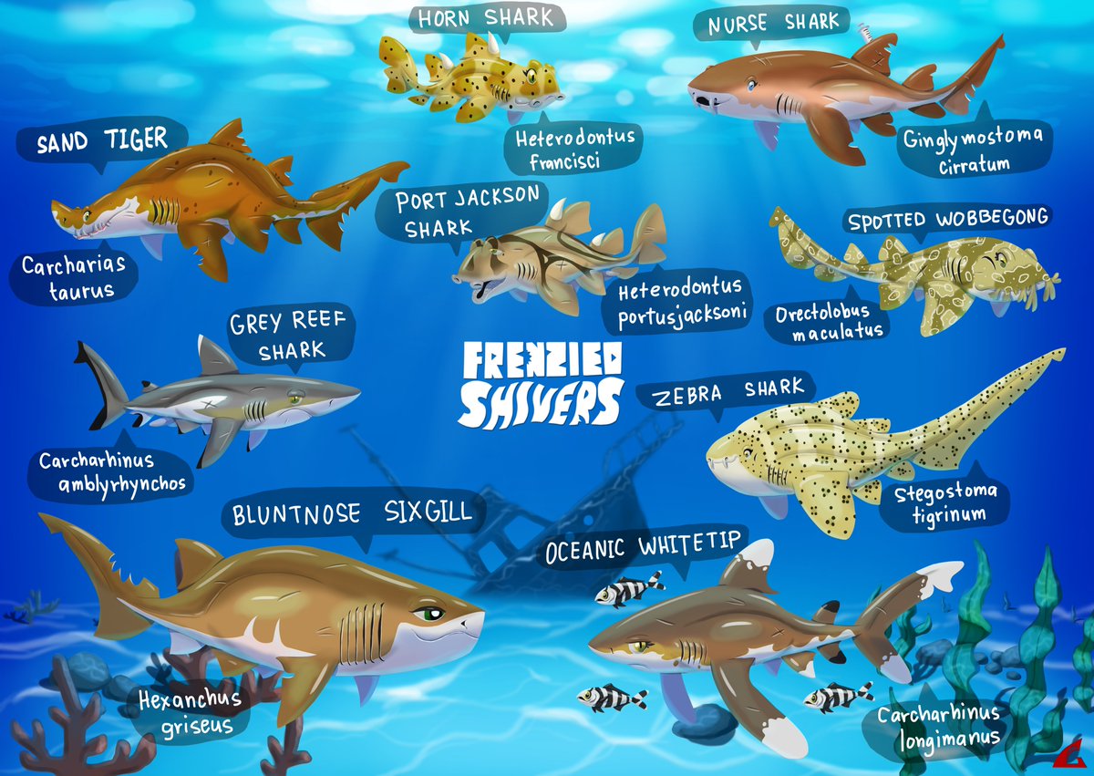 galeotheshark's tweet image. Frenzied Shivers: Meet The Sharks- Part 3
🦈🦈🦈
#shark #sharks #fishart #digitalart #illustration