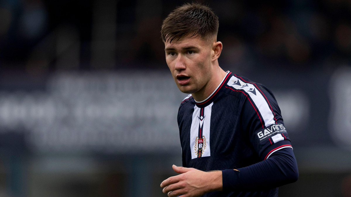 tom 🦢 tweet media