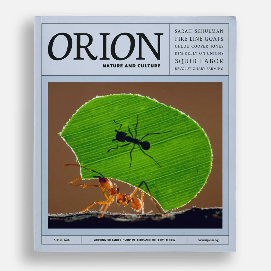 BoomersDaily tweet media