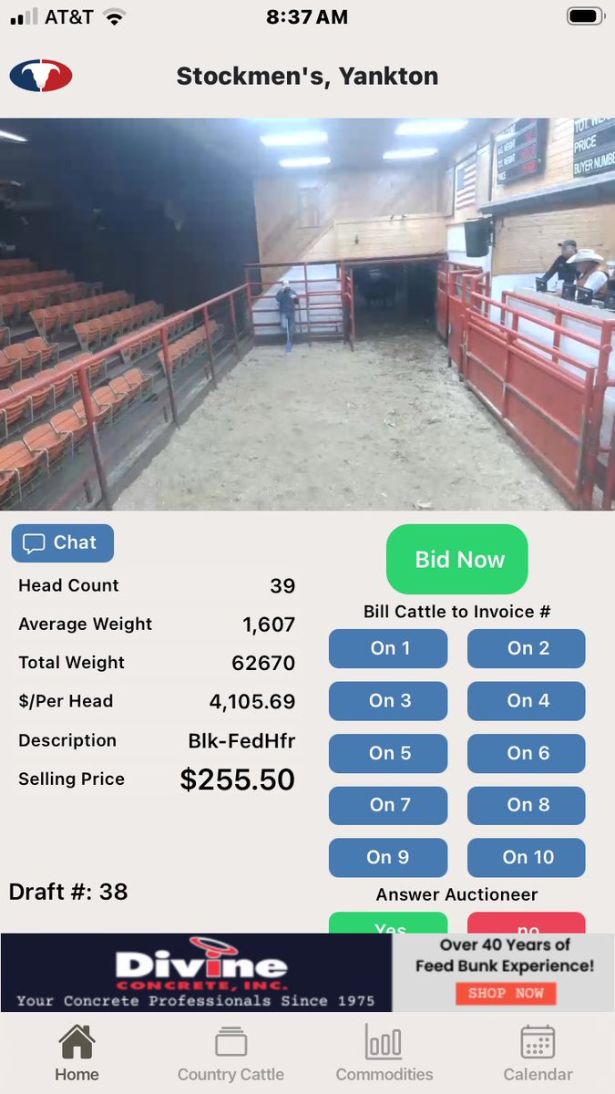 KornKattle tweet media